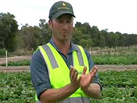link to You-Tube IPM lettuce pt3 video