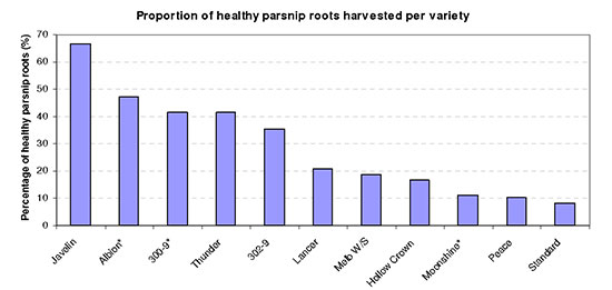 Comaprison of Parnip varieties with Health Roots